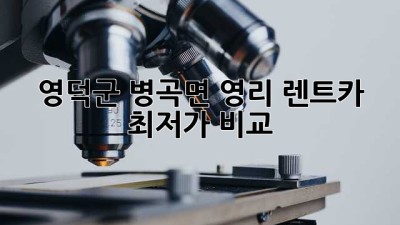 영덕군 병곡면 영리 렌트카 최저가 비교